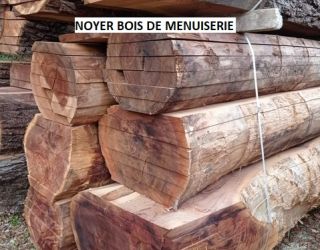 Nouveaux produits